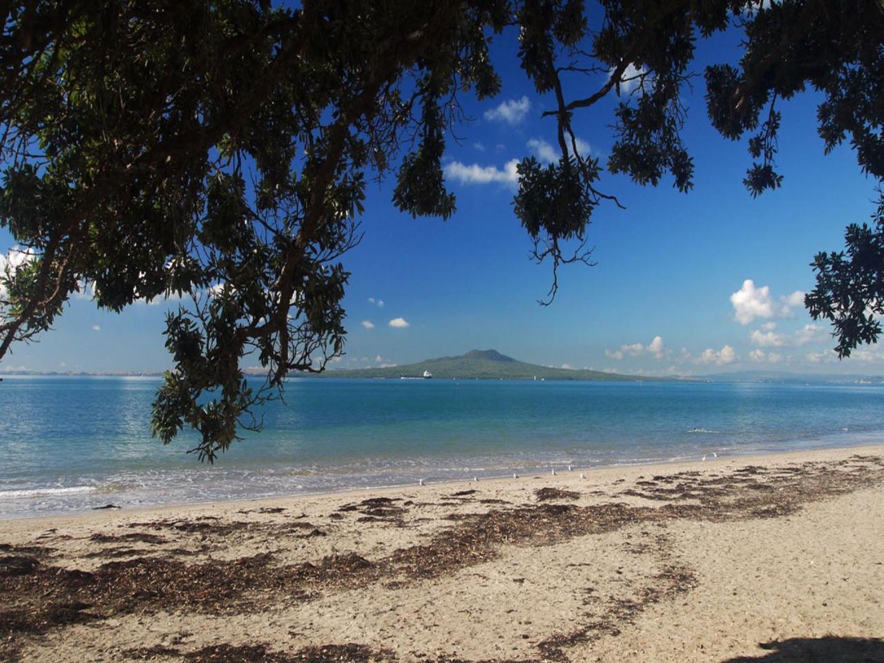 Whitby Studio - Mairangi Bay Beach Auckland Eksteriør bilde